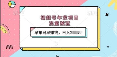 视频号年货项目，流量贼猛，早布局早挣钱，日入上k - 中创网-中创网