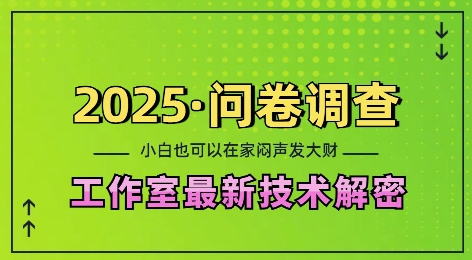 2025问卷调查最新工作室技术解密：一个人在家也可以闷声发大财，小白一天2张，可矩阵放大 - 中创网-中创网