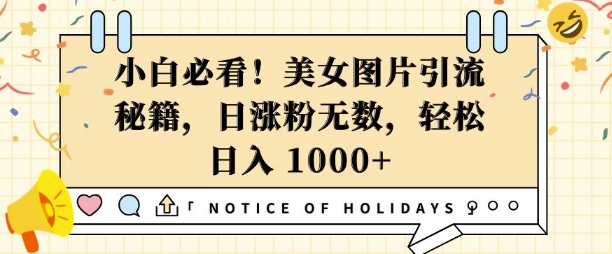 小白必看，美女图片引流秘籍，日涨粉无数，轻松日入几张 - 中创网-中创网