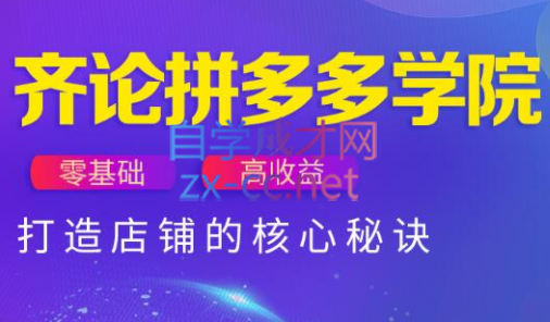 齐论拼多多vip课程 - 中创网-中创网
