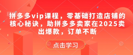 拼多多vip课程，零基础打造店铺的核心秘诀，助拼多多卖家在2025卖出爆款，订单不断 - 中创网-中创网