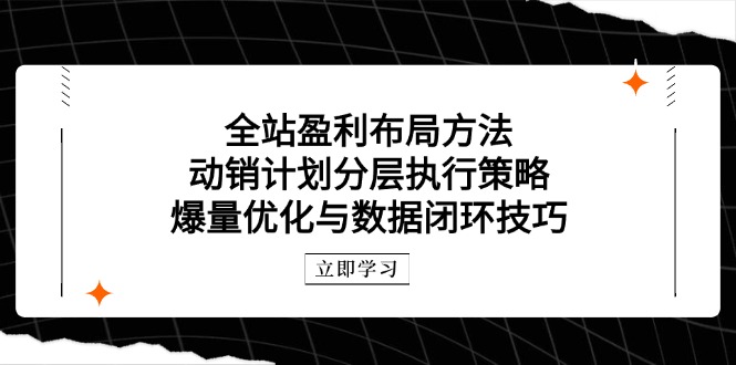 全站盈利布局方法：动销计划分层执行策略，爆量优化与数据闭环技巧 - 中创网-中创网
