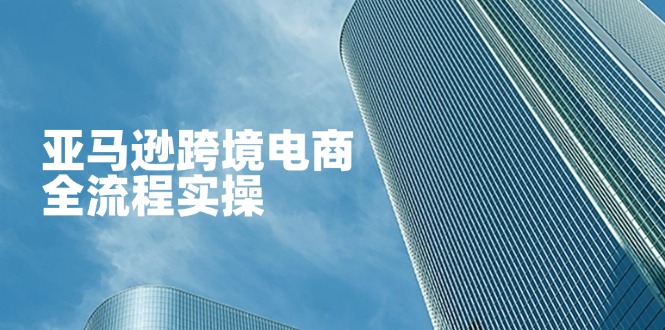 亚马逊跨境电商全流程实操，教你从零开始，掌握店铺运营与广告技巧 - 中创网-中创网