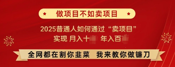 必看，做项目不如卖项目，2025普通人如何通过“卖项目”实现月入十个，年入百个 - 中创网-中创网