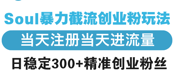 Soul暴力截流创业粉玩法，当天注册当天进流量，日稳定300+精准创业粉丝 - 中创网-中创网