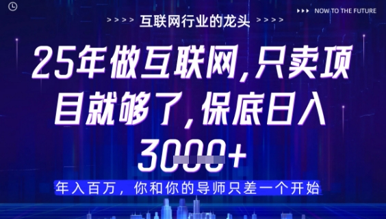 什么！25年你还在找项目做？风口早就变了，卖项目才是稳挣不赔【揭秘】 - 中创网-中创网