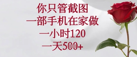 你只管截图，一部手机在家做，苹果安卓都可以，一小时120，一天5张+【揭秘】 - 中创网-中创网