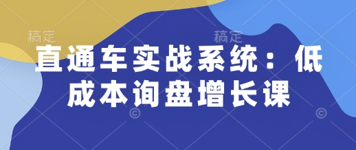 直通车实战系统：低成本询盘增长课，让个人通过技能实现升职加薪，让企业低成本获客，订单源源不断 - 中创网-中创网