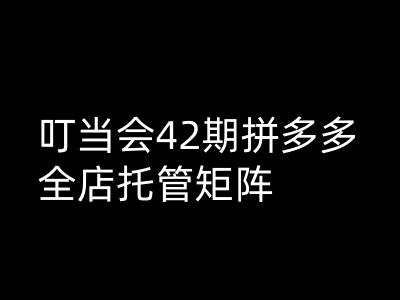 叮当会拼多多打爆班原创高阶技术第42期，拼多多全店托管矩阵 - 中创网-中创网