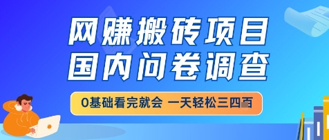 网创搬砖项目，国内问卷调查，小白轻松上手，一天三四张的也不难，干就完了【揭秘】 - 中创网-中创网