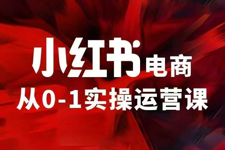 小红书电商运营，97节小红书vip内部课，带你实现小红书赚钱 - 中创网-中创网