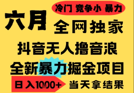 25年6月高爆抖音无人直播最新撸音浪掘金项目，小白可做，无脑日入1k+，门槛低可批量矩阵【揭秘】 - 中创网-中创网