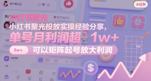 小红书聚光投放实操经验分享，单号月利润超1w+，可以矩阵起号放大利润 - 中创网-中创网