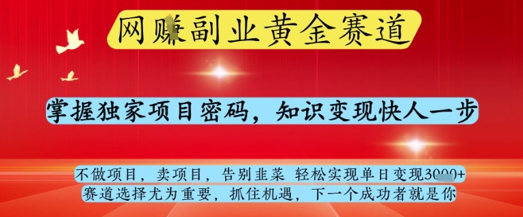 网创副业黄全赛道，掌握独家项目密码，知识变现快人一步，告别韭菜轻松实现单日变现1k+【揭秘】 - 中创网-中创网