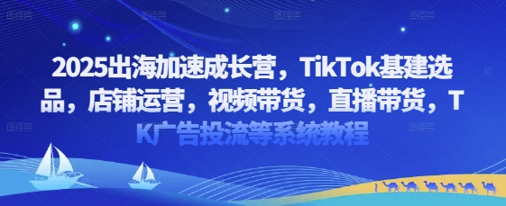 2025出海加速成长营，TikTok基建选品，店铺运营，视频带货，直播带货，TK广告投流等系统教程 - 中创网-中创网