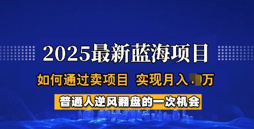 2025蓝海项目，普通人如何通过卖项目，实现月入过W，全过程【揭秘】 - 中创网-中创网