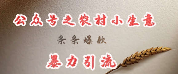 deepseek写农村小项目，条条爆款，暴力引流 - 中创网-中创网