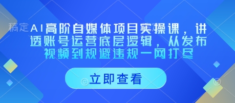 AI高阶自媒体项目实操课，讲透账号运营底层逻辑，从发布视频到规避违规一网打尽 - 中创网-中创网