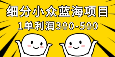 细分小众蓝海项目，一单利润3张，每月收入稳定过1w+ - 中创网-中创网