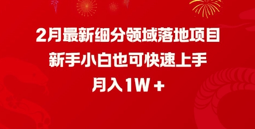 2月最新细分领域落地项目，新手小白也可快速上手，月入1W - 中创网-中创网