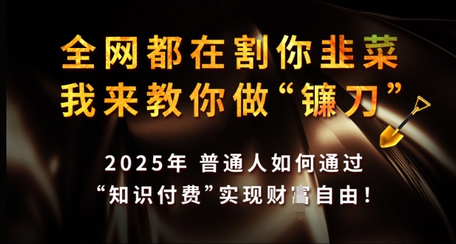全网都在割你韭菜，我来教你做镰刀，2025年普通人如何通过 知识付费 实现财F自由【揭秘】 - 中创网-中创网