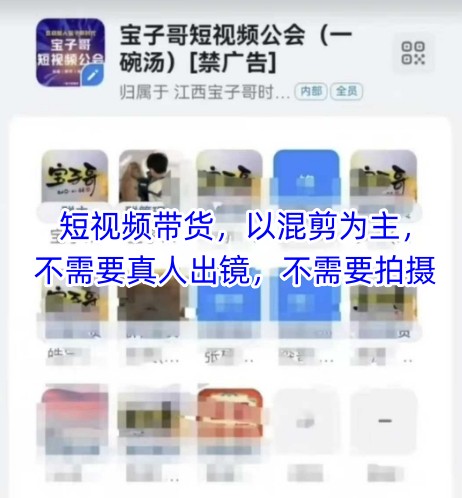 宝子哥头部团队短视频带货，以混剪为主，不需要真人出镜，不需要拍摄 - 中创网-中创网