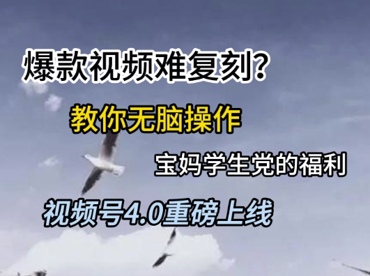 视频号4.0重磅上线，爆款视频难复刻？教你无脑操作宝妈学生党的福利【揭秘】 - 中创网-中创网