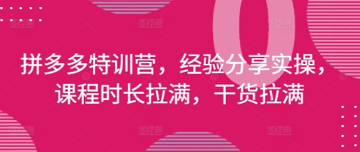 拼多多特训营，经验分享实操，课程时长拉满，干货拉满(更新25年4月) - 中创网-中创网