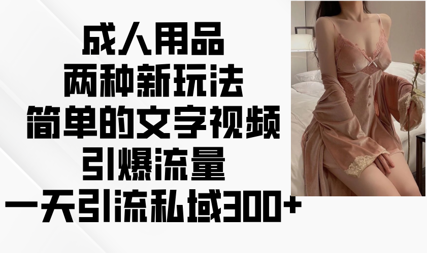 成人用品两种新玩法，简单的文字视频引爆流量，一天引流私域300+ - 中创网-中创网