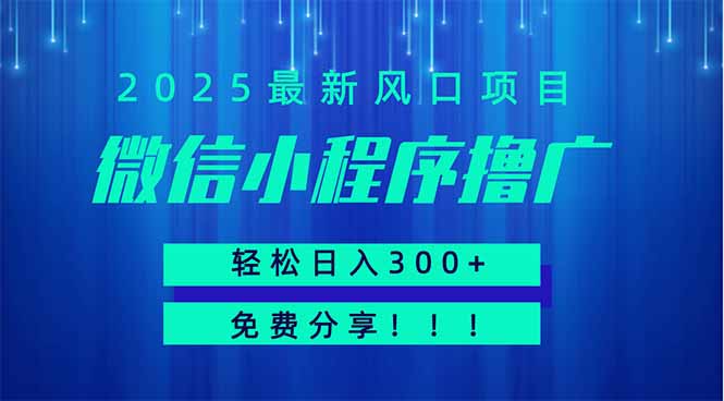 微信小程序撸广，最新风口项目，日入300+ 免费分享 可批量操作 小白可... - 中创网-中创网