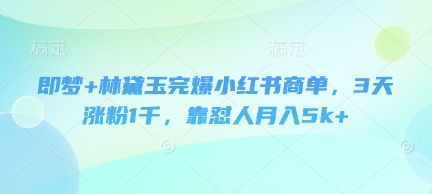 即梦+林黛玉完爆小红书商单，3天涨粉1千，靠怼人月入5k+ - 中创网-中创网