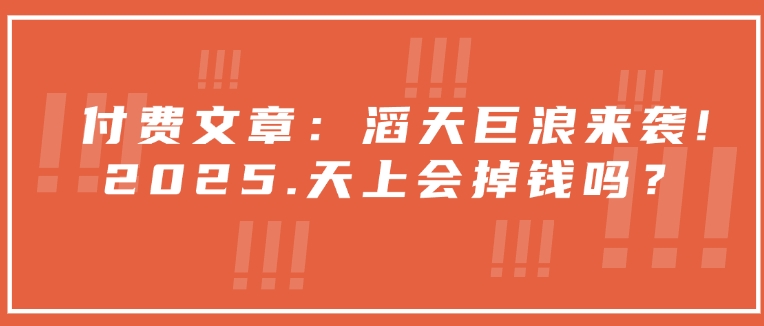 付费文章：滔天巨浪来袭！2025天上会掉钱吗？ - 中创网-中创网