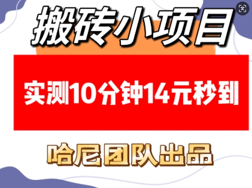搬砖小项目，实测10分钟14元秒到，每天稳定几张(赠送必看稳定) - 中创网-中创网