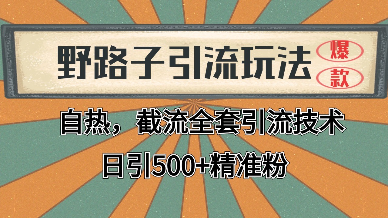 2024首发野路子引流玩法截流自热全平台打法，全自动引流【日引2000+精准客户】 - 中创网-中创网