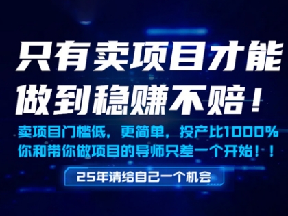 只有卖项目才能做到稳挣不赔，门槛低，更简单，你也可以年入百个W【揭秘】 - 中创网-中创网