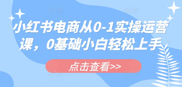 小红书电商从0-1实操运营课，0基础小白轻松上手 - 中创网-中创网