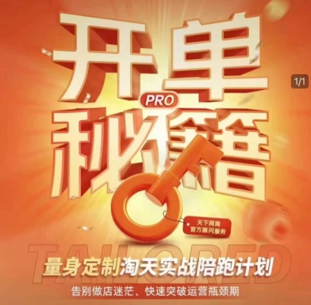 淘宝开单秘籍PRO，量身定制淘天实战陪跑计划，告别做店迷茫、快速突破运营瓶颈期(更新) - 中创网-中创网