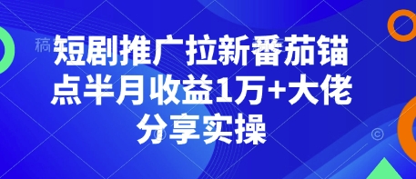 短剧推广拉新番茄锚点半月收益1万+大佬分享实操 - 中创网-中创网