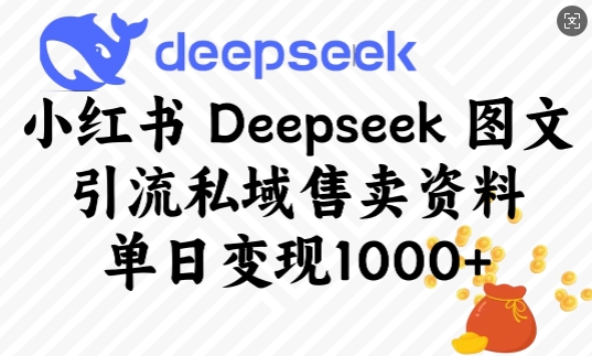 小红书Deepseek图文引流私域售卖资料，单日变现多张 - 中创网-中创网