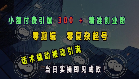小额付费引爆 300 + 精准创业粉，零剪辑、零复杂起号，话术撬动被动引流，当日实操即见成效 - 中创网-中创网