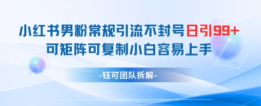 小红书男粉常规引流不封号日引99+变现简单 可矩阵可复制小白容易上手 - 中创网-中创网