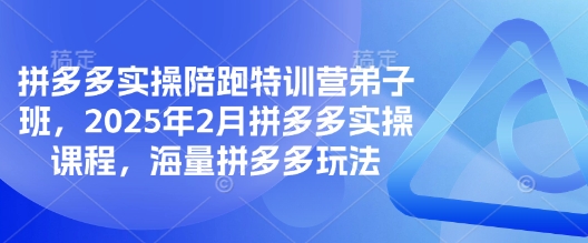 拼多多实操陪跑特训营弟子班，2025年2月拼多多实操课程，海量拼多多玩法 - 中创网-中创网