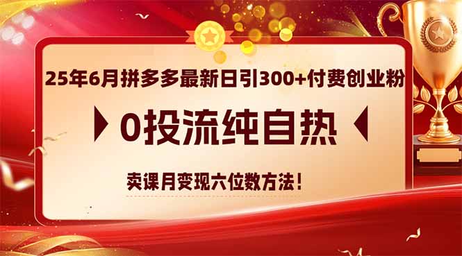 25年6月拼多多最新日引300+付费创业粉，0投流纯自热 卖课月变现六位数方法 - 中创网-中创网