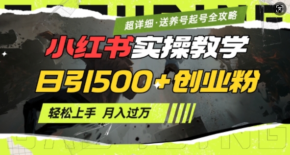 2月小红书最新日引500+创业粉实操教学【超详细】小白轻松上手，月入1W+，附小红书养号起号SOP - 中创网-中创网