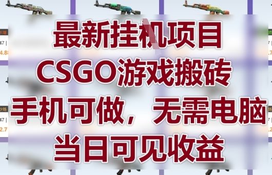 最新挂G项目，CSGO游戏搬砖，手机可做，无需电脑，当日见收益【揭秘】 - 中创网-中创网