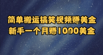 简单搬运搞笑视频挣美金，新手一个月入1k美金 - 中创网-中创网