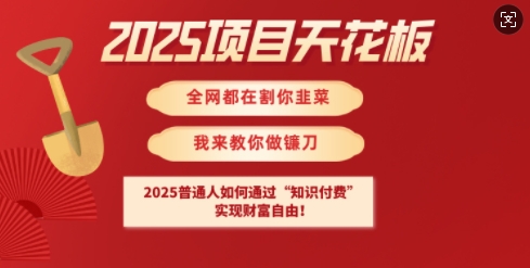 2025项目天花板普通人如何通过知识付费，实现财F自由【揭秘】 - 中创网-中创网